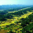 風岡縣