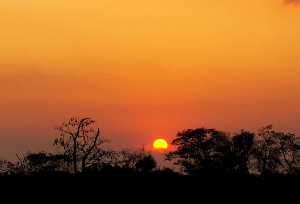 夕陽賦 夕陽賦