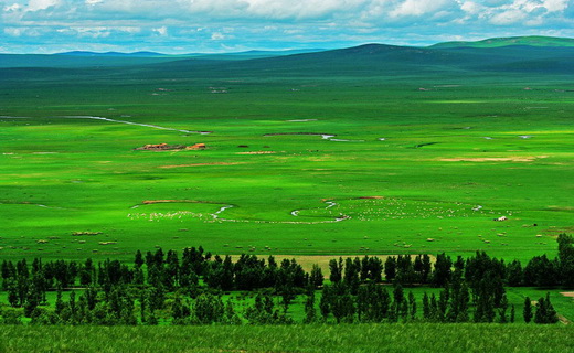 內蒙古錫林郭勒草原國家級自然保護區