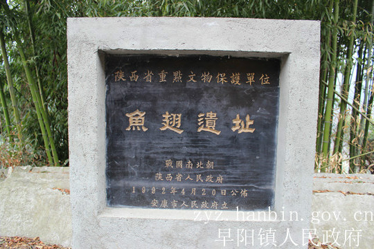 魚翅遺址 魚翅遺址