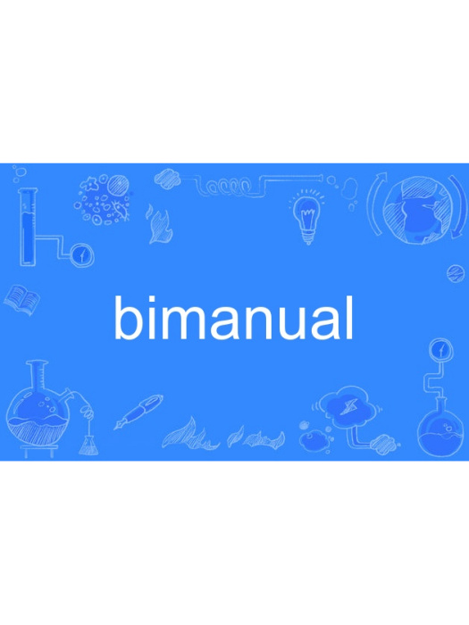 bimanual bimanual