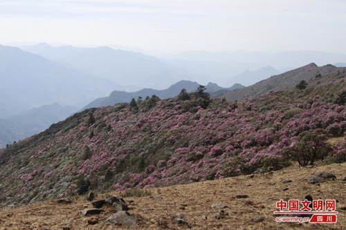 鹽邊群 鹽邊群