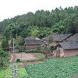 獅龍村(四川省中江縣通濟鎮下轄村) 獅龍村(四川省中江縣通濟鎮下轄村)