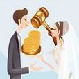 婚前財產(法律名詞)