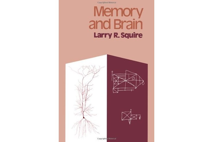 Memory and Brain Memory and Brain
