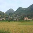 大西吉村 大西吉村