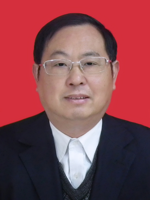 李桂生(安徽省池州市東至縣政協副主席) 李桂生(安徽省池州市東至縣政協副主席)