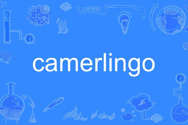 camerlingo camerlingo