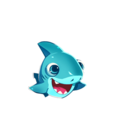 小鯊魚 小鯊魚