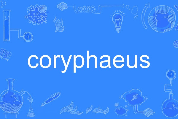 coryphaeus coryphaeus