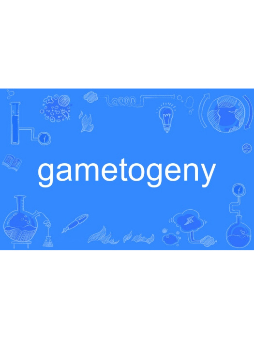 gametogeny gametogeny