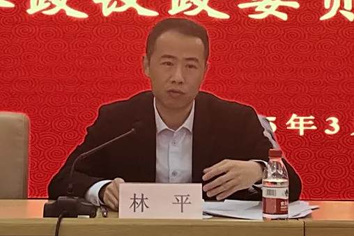 林平(台盟浙江省委會副主委、參委會主任) 林平(台盟浙江省委會副主委、參委會主任)