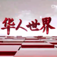 華人世界(CCTV-4專事服務全球華人的欄目)