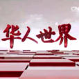 華人世界(CCTV-4專事服務全球華人的欄目) 華人世界(CCTV-4專事服務全球華人的欄目)