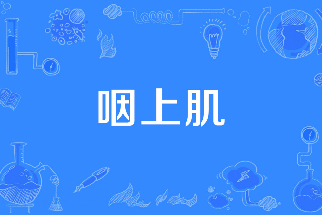 咽上肌