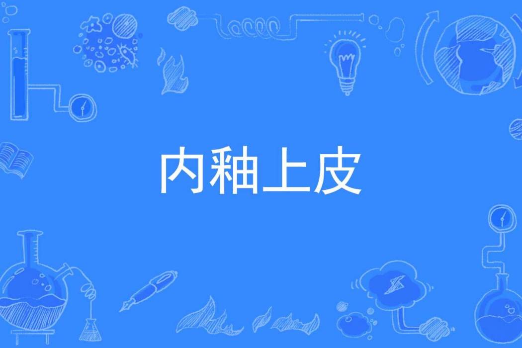 內釉上皮