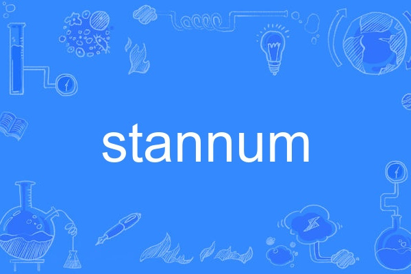stannum stannum