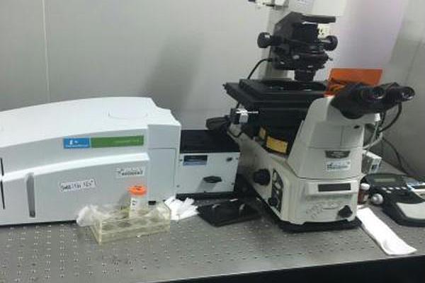 3D雷射共聚焦 3D雷射共聚焦