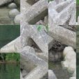 完成拼圖4 完成拼圖4