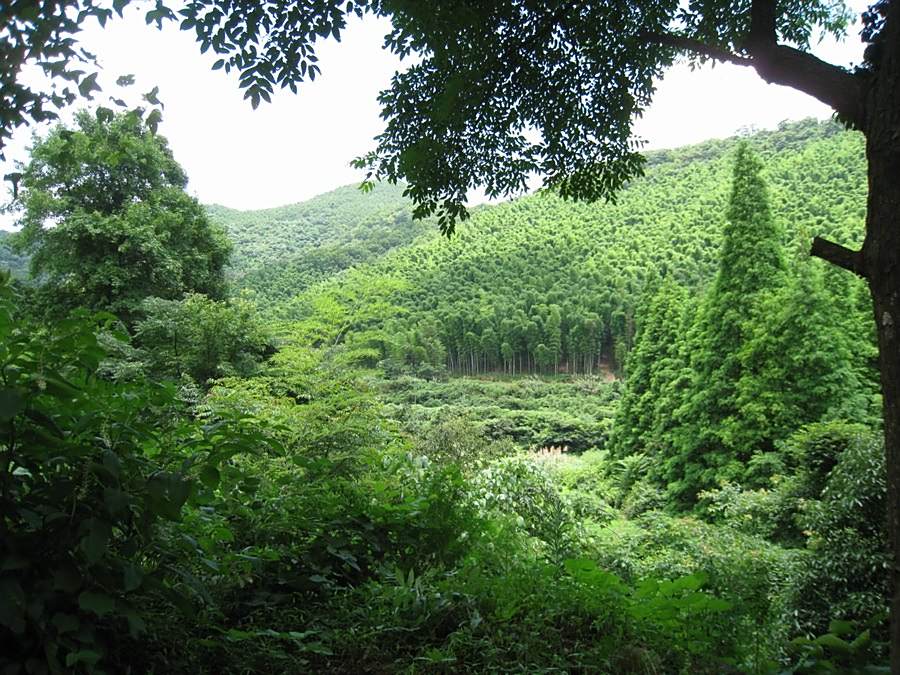 羅漢溝古道 羅漢溝古道