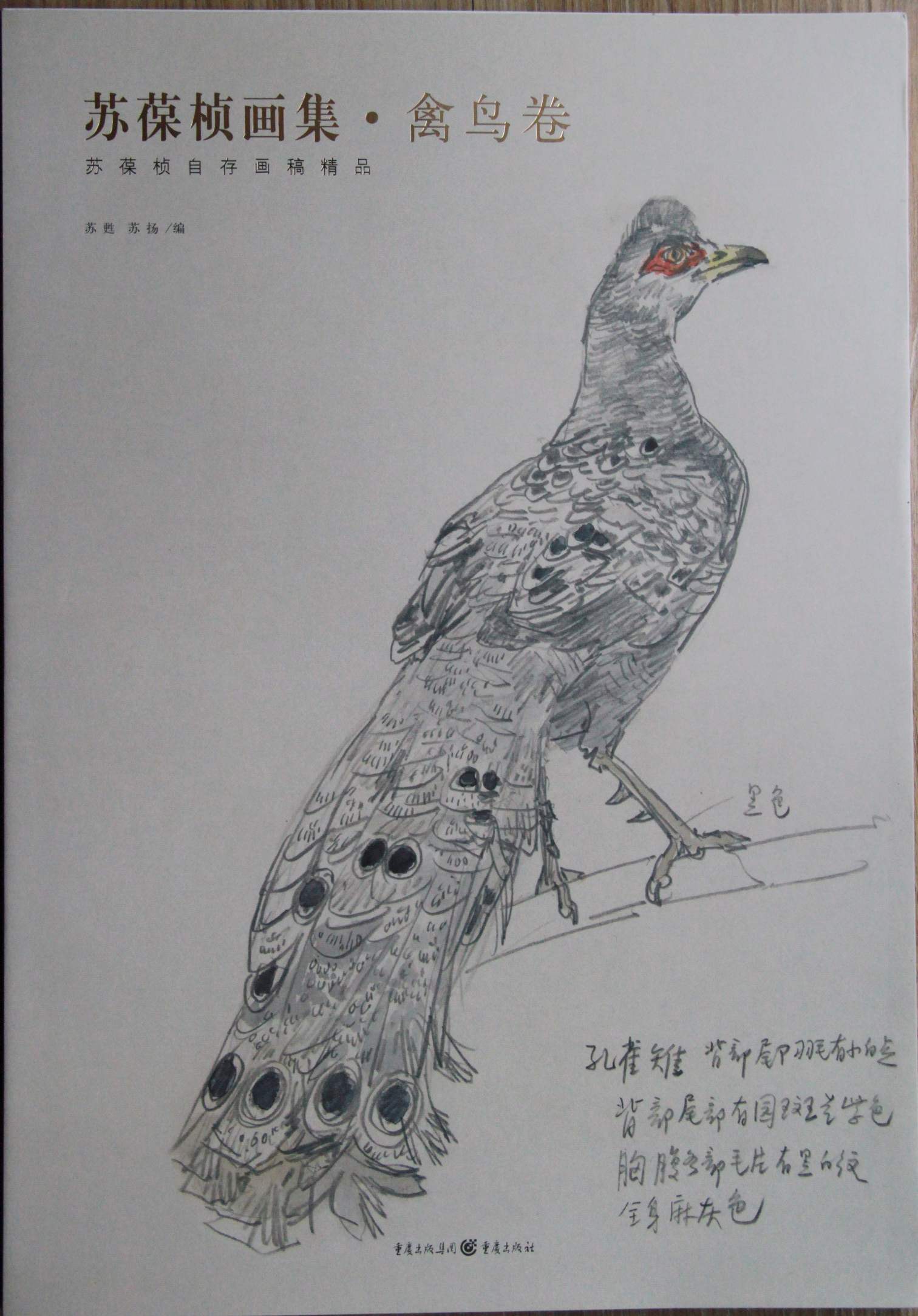 重慶出版社2010年6月出版畫冊之一