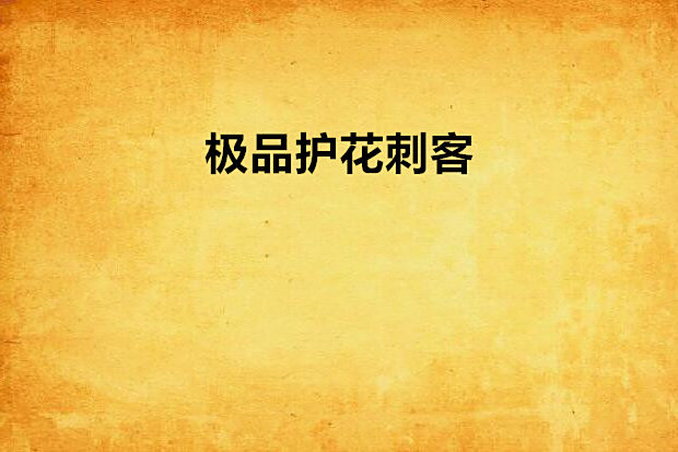 極品護花刺客