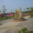 大綱領村 大綱領村