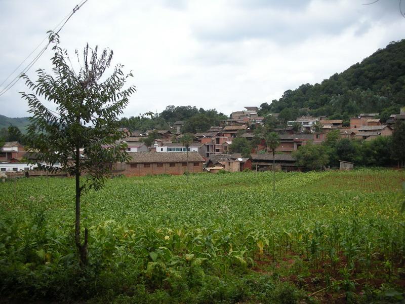 小籠橋村 小籠橋村