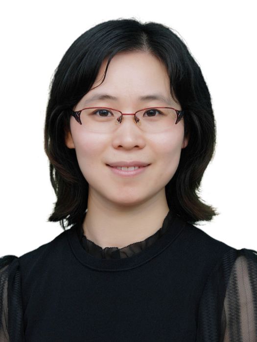 成娟(合肥工業大學儀器科學與光電工程學院教授)