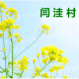閆窪村 閆窪村