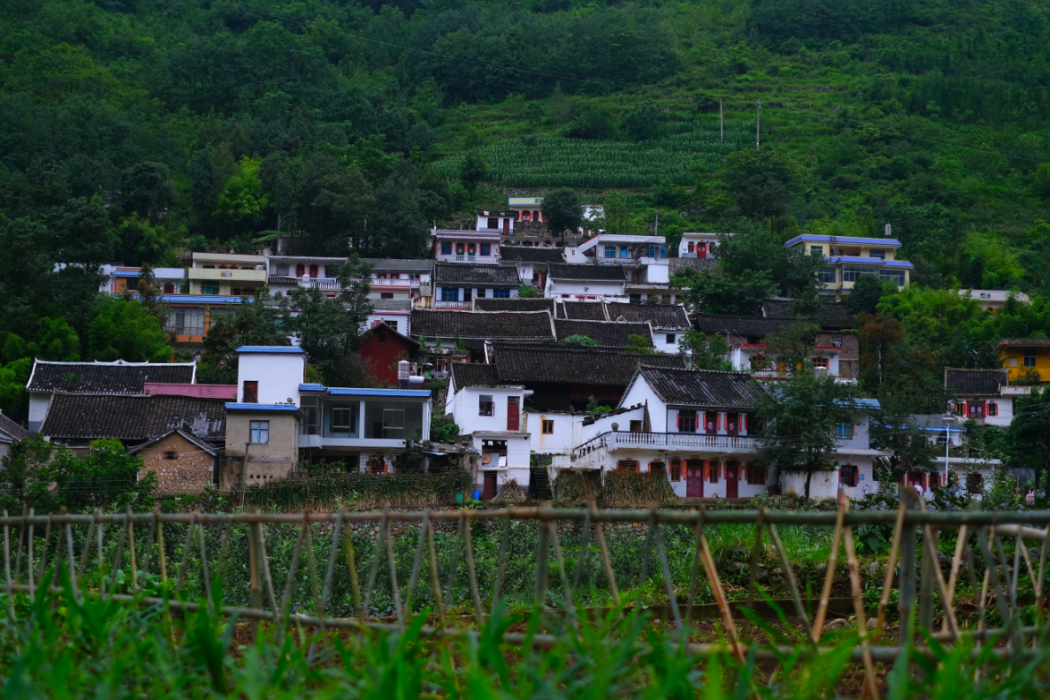 坪川村 坪川村