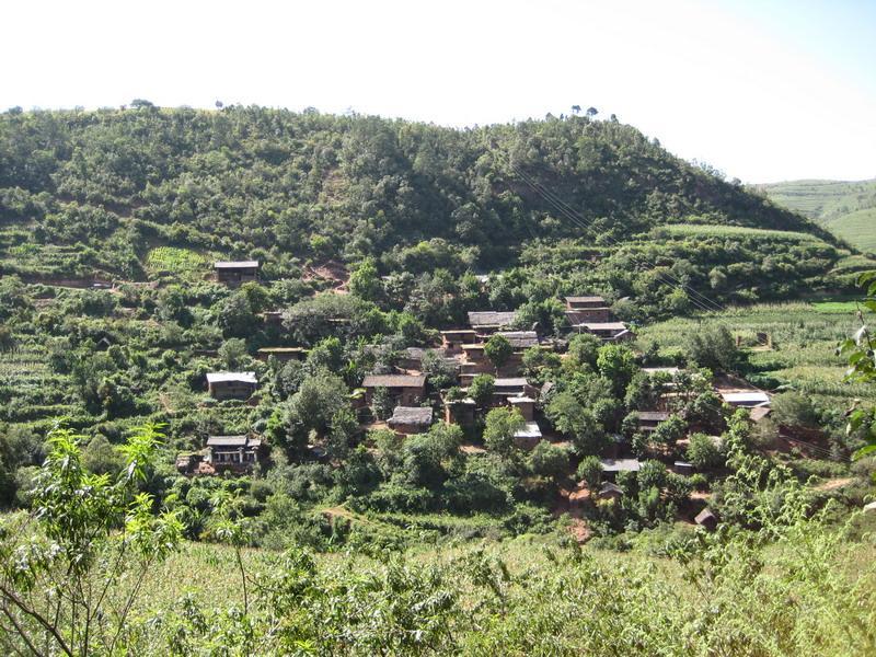 阿六枝小村 阿六枝小村