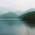 華溪森林公園 華溪森林公園
