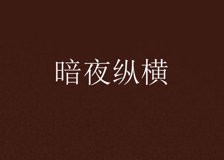 暗夜縱橫 暗夜縱橫