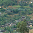 青山村(廣東省汕頭市潮陽區西臚鎮下轄村) 青山村(廣東省汕頭市潮陽區西臚鎮下轄村)