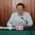 陳鴻(瀘州市人大財政經濟委員會委員) 陳鴻(瀘州市人大財政經濟委員會委員)