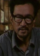鳳凰琴(1994年李保田主演電影)
