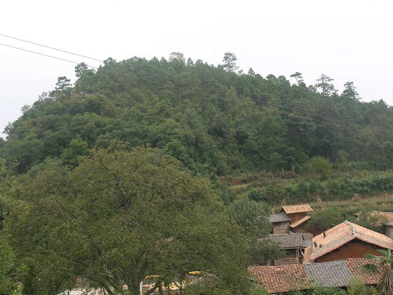 糯嘎村 糯嘎村