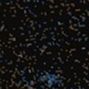 NGC 2331 NGC 2331