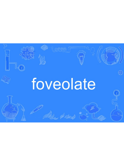 foveolate