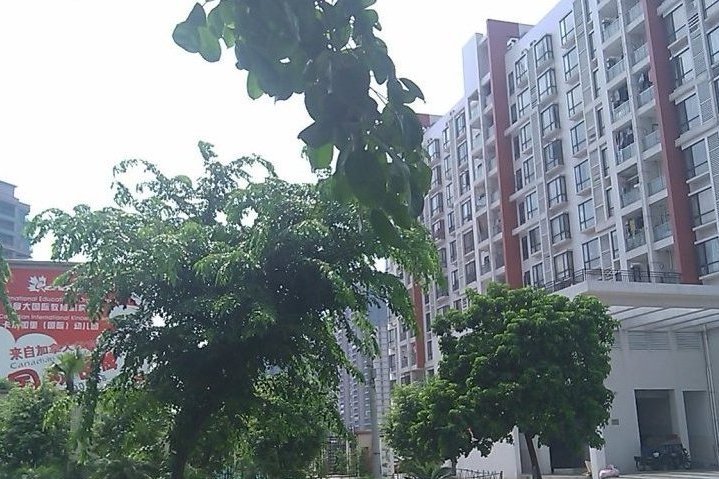 帝景卡仕 帝景卡仕
