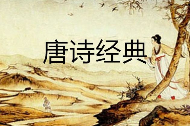 唐詩經典(浙江大學建設的慕課) 唐詩經典(浙江大學建設的慕課)