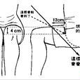 防走光公式 防走光公式