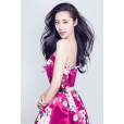 葉美毅 葉美毅