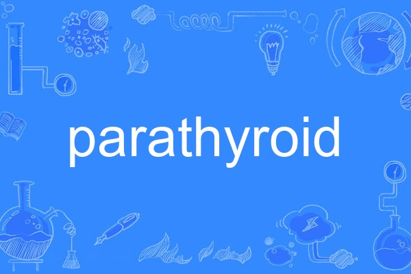 parathyroid parathyroid