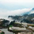 九龍山(重慶市開州區九龍山) 九龍山(重慶市開州區九龍山)