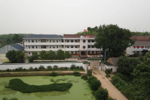 畢橋中學 畢橋中學