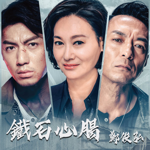 鐵石心腸(TVB電視劇《鐵探》主題曲)