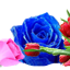 鮮花團 鮮花團