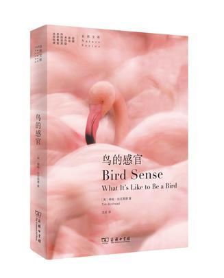 鳥的感官 鳥的感官